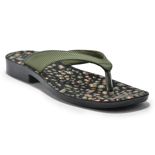 Picaaso Footwear SL-697 (1) Women Slippers for Global Market